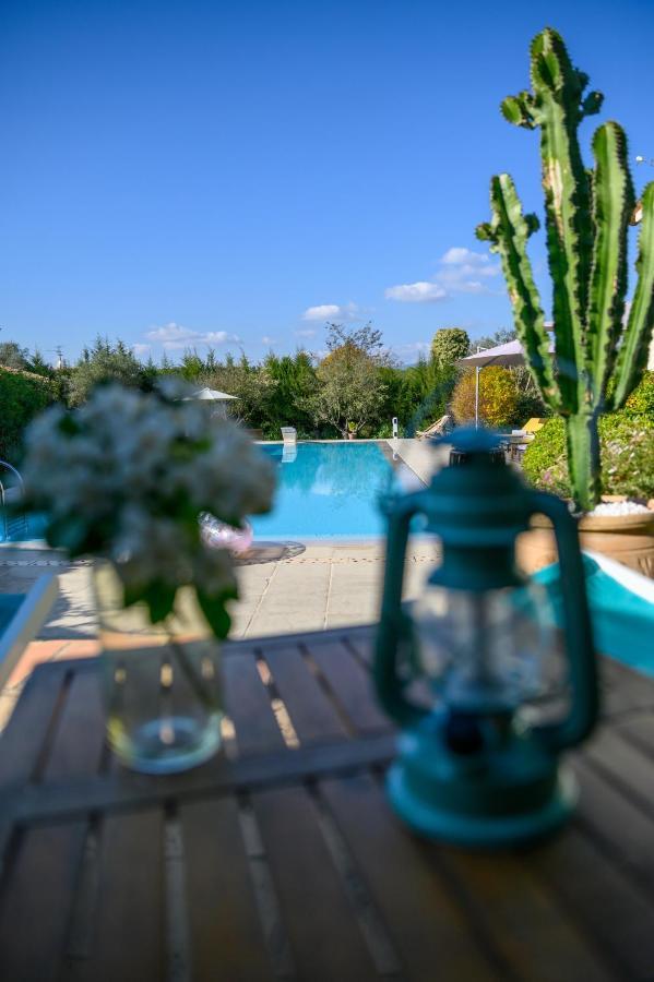 Le Mas De La Source Bed and Breakfast Mougins Eksteriør billede