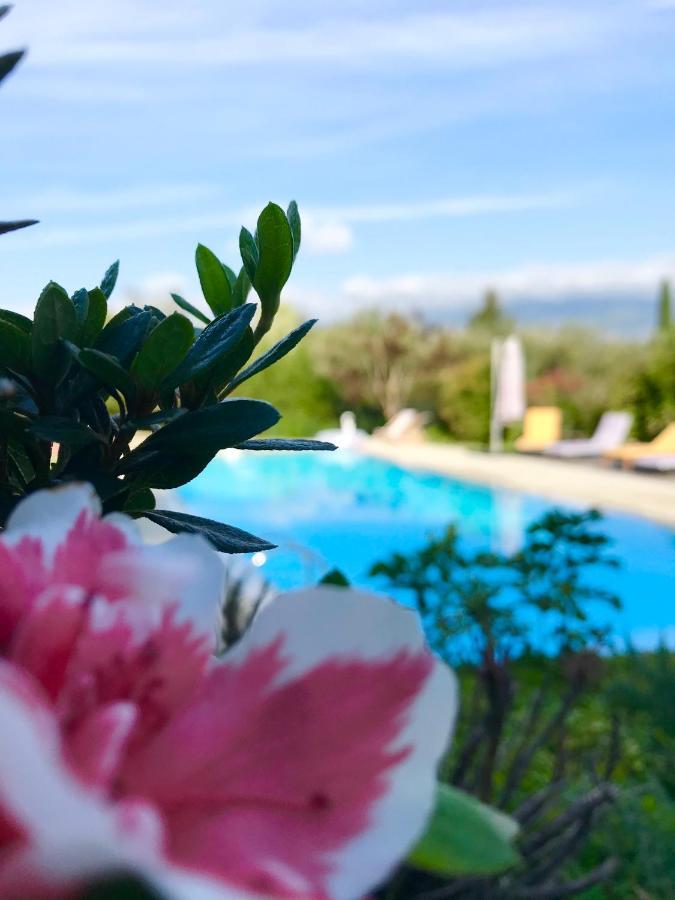 Le Mas De La Source Bed and Breakfast Mougins Eksteriør billede